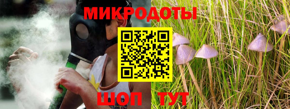 Псилоцибиновые грибы Cubensis  Вход с VPN  Кириши 